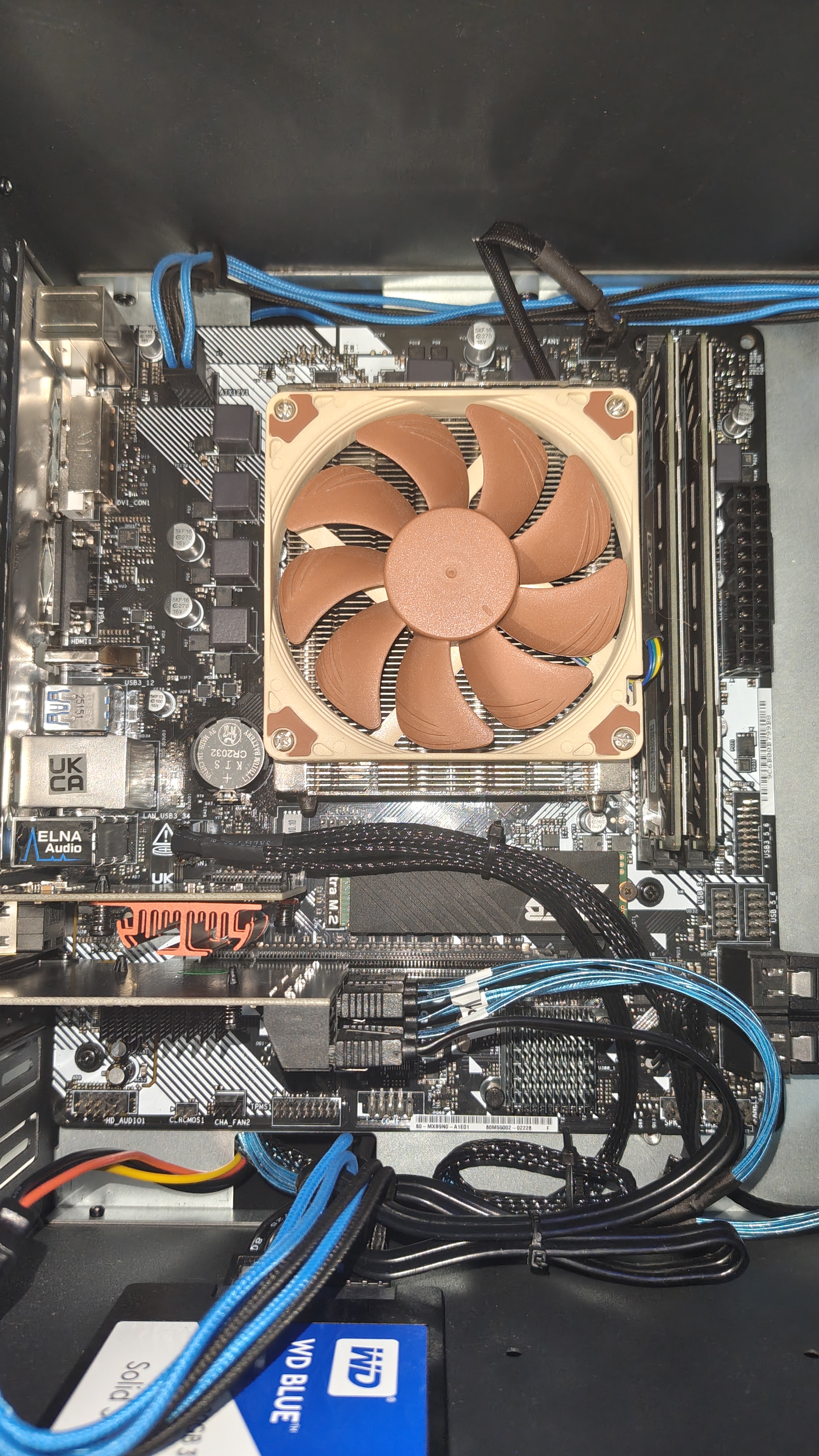 NAS